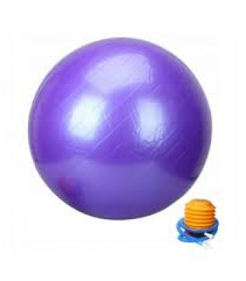 Violetinis gimnastikos kamuolys su pompa 65 cm
